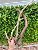 Faca Thumper - Exclusiva - Facas do Mundo 